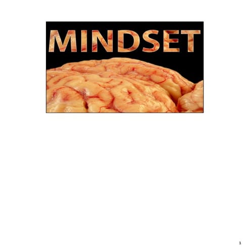 Mindset for Educators: TEPSA18