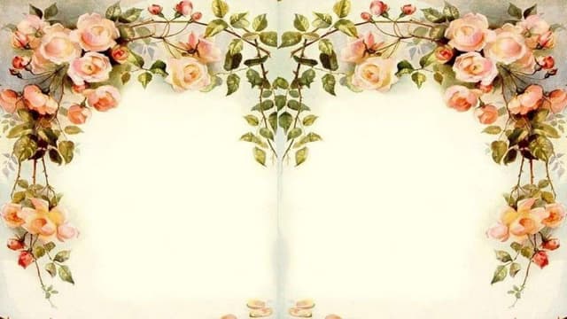 Te querer jose ronaldo alberti j ronaldo-jr