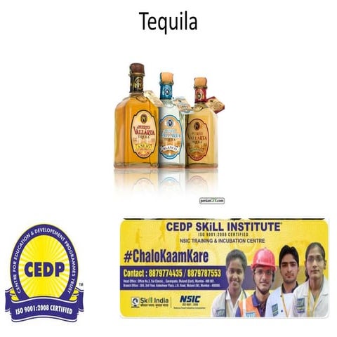 Tequila production and its types