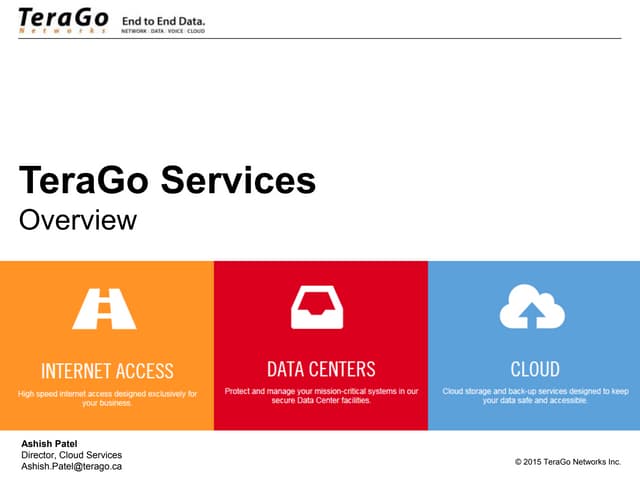 TeraGo Corporate Services Overview