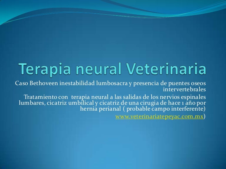 Terapia neural veterinaria