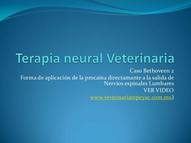 Terapia neural veterinaria