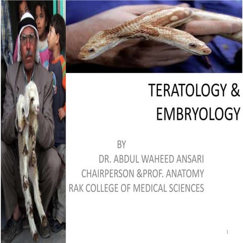 Teratology & embryology
