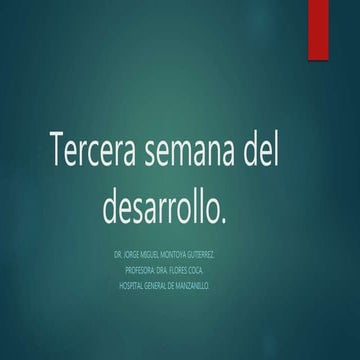 Tercera semana del desarrollo