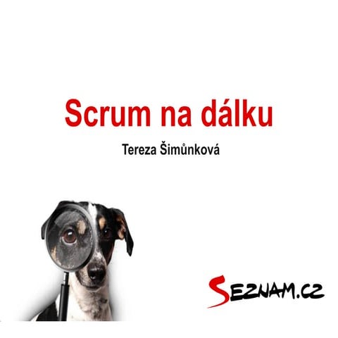 Tereza Šimůnková - Scrum na dálku