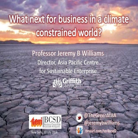 What next for business in a climate constrained world?