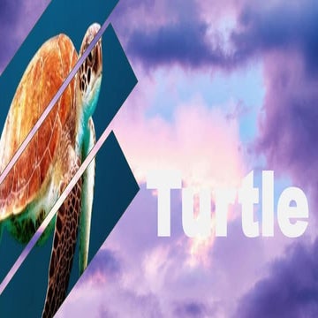 Life Cycle of Turtle (From Egg to Adult Sea Turtle) | PDF