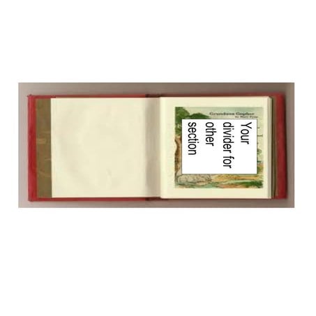 Term 3 other handouts and notes