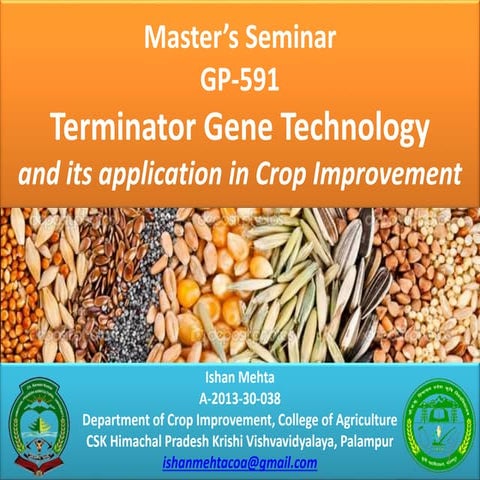 Terminator gene technology & its applications in crop improvement