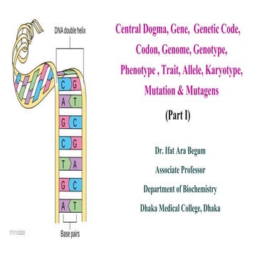 Central Dogma, Gene,  Genetic Code, Codon, Genome, Genotype, Phenotype , Trai...