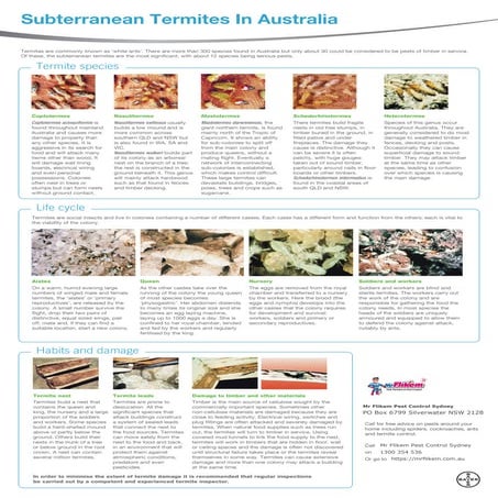 Social behavior in termites | PPTX