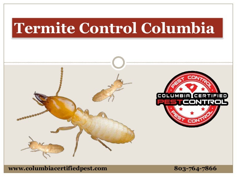 Is A Termite Bond Required In South Carolina Radar Pest Control