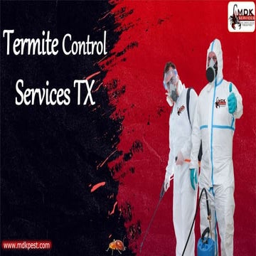 Termite Control Services TX | PPTX