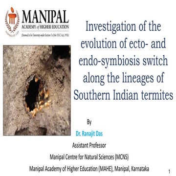 Termite presentation understanding behaviour 2019