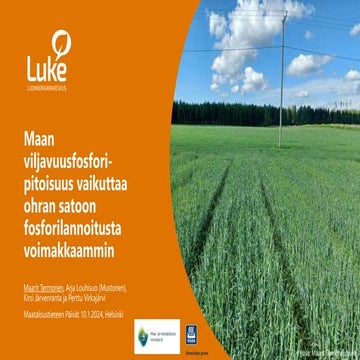 Maan viljavuusfosforipitoisuus vaikuttaa ohran satoon fosforilannoitusta voim...
