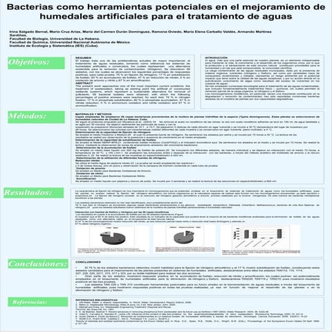 Identificación de bacterias filamentosas thiothrix en el tratamiento ...