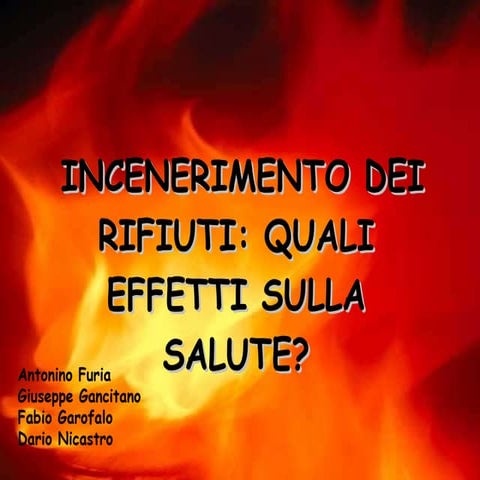 Termovalorizzatori 03