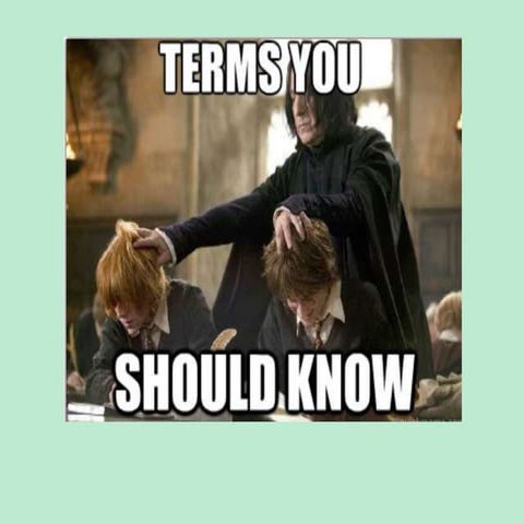 Terms you should know