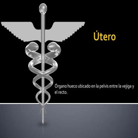 Utero: histologico