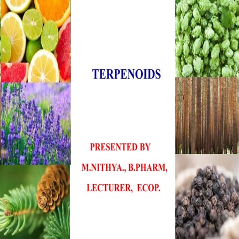 TERPENOIDS - I D.Pharm ER-20:13T