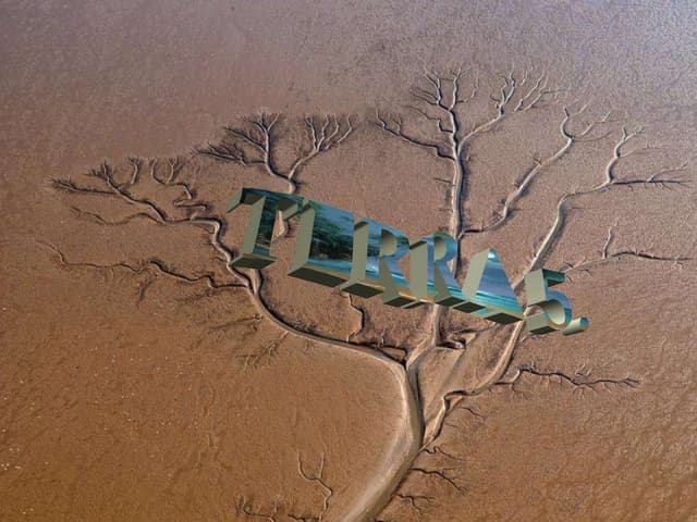 Terra 5.  ® ildy buday ®