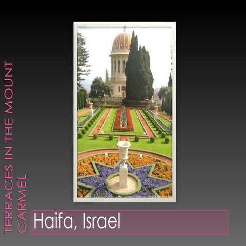 Terraces In The Mount Carmel