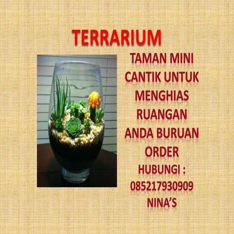 Terrarium