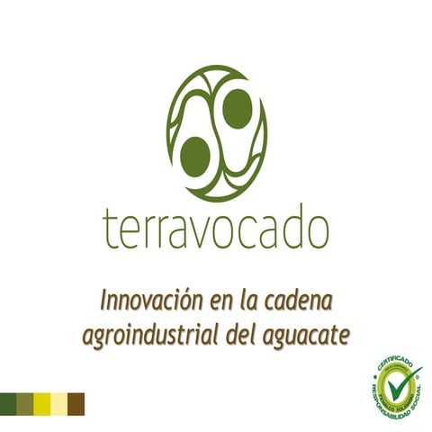 Terravocado   presentación comercial