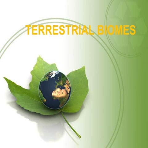 Terrestrial biomes