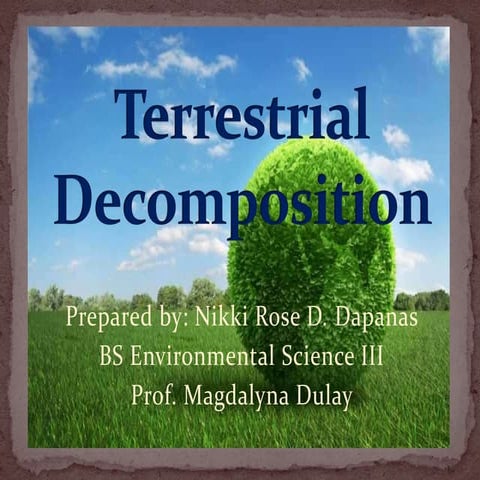 Terrestrial decomposition