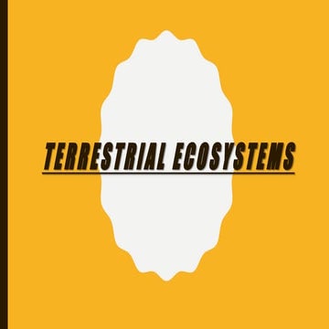 Terrestrial ecosystems by Miriam