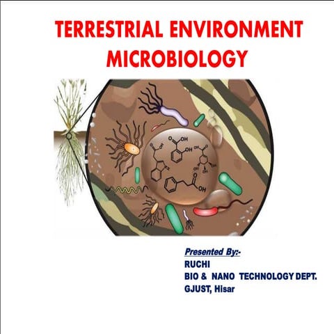 Terrestrial Environment Microbiology/ Soil Microbiology