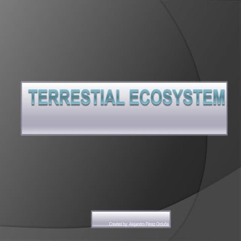 Territorial ecosystem