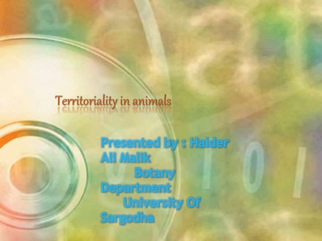 Territoriality