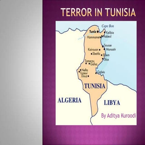 Terror in tunisia