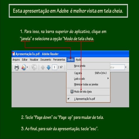 TERRORISMO NO BRASIL–Honoráveis terroristas