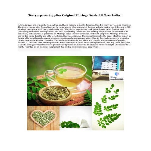 Terryexports Original Moringa Supplier.ppt