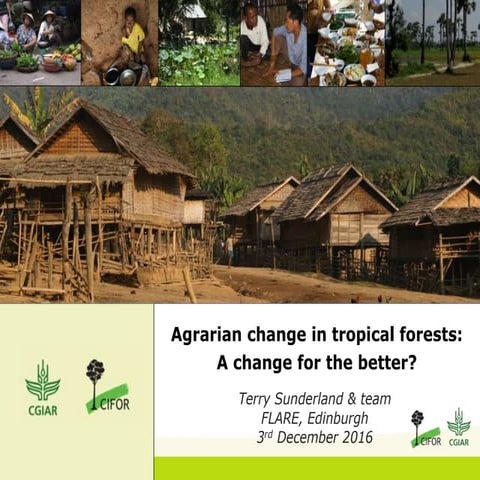 Agrarian change in tropical forests: A change for the better?
