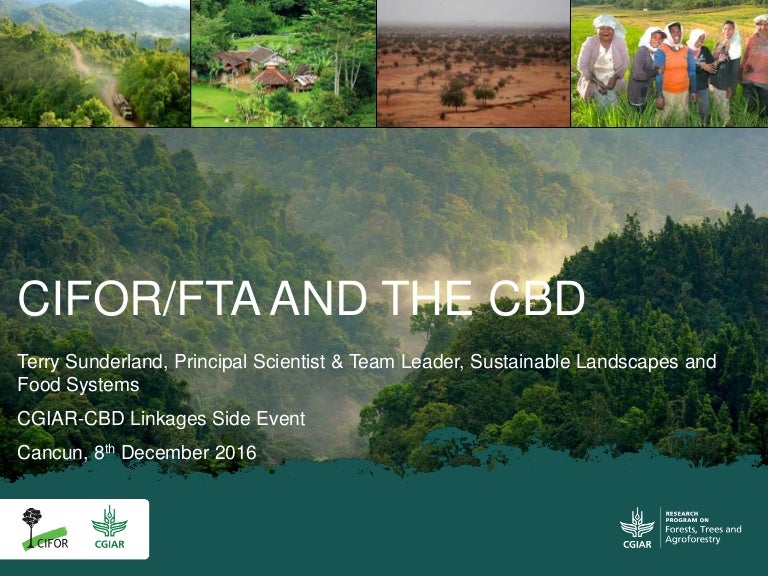 thumbnail of  CIFOR/FTA and the CBD