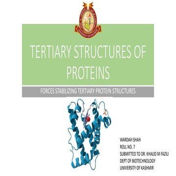 Tertiary Structure of Proteins
