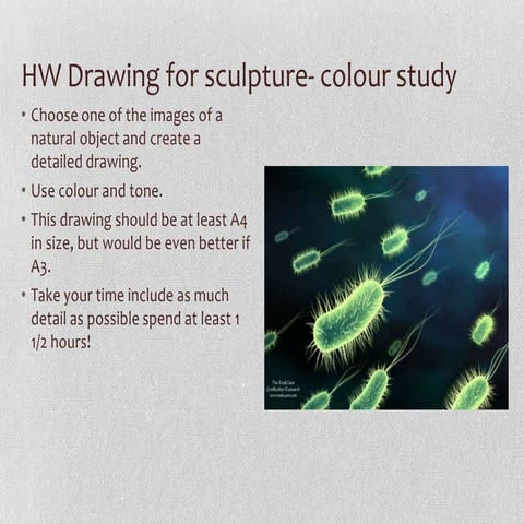 Natural Form Sculpture