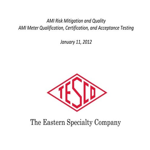 TESCO AMI Risk Mitigation & Quality