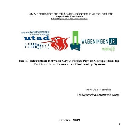 Social Interaction between Grow Finish Pigs