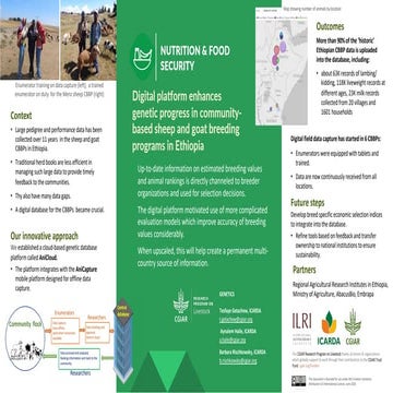 Digital platform enhances genetic progress in community-based sheep and goat ...