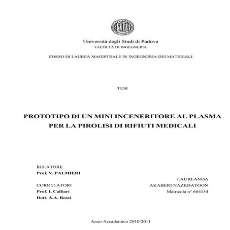 Tesi magistrale Akaberi Nazkhatoon