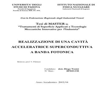 Tesi Master Diego Tonini