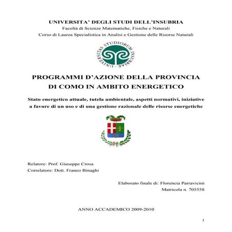 Tesi programmi azione_provincia_como_definitiva
