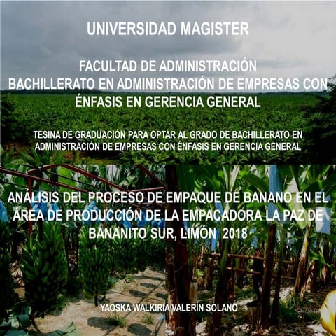Análisis del proceso de banano en el área de producción de la empacadora La P...