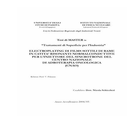 Tesi Master Nicola Schiccheri