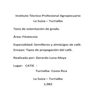 Semilleros y Almacigos de Cafe